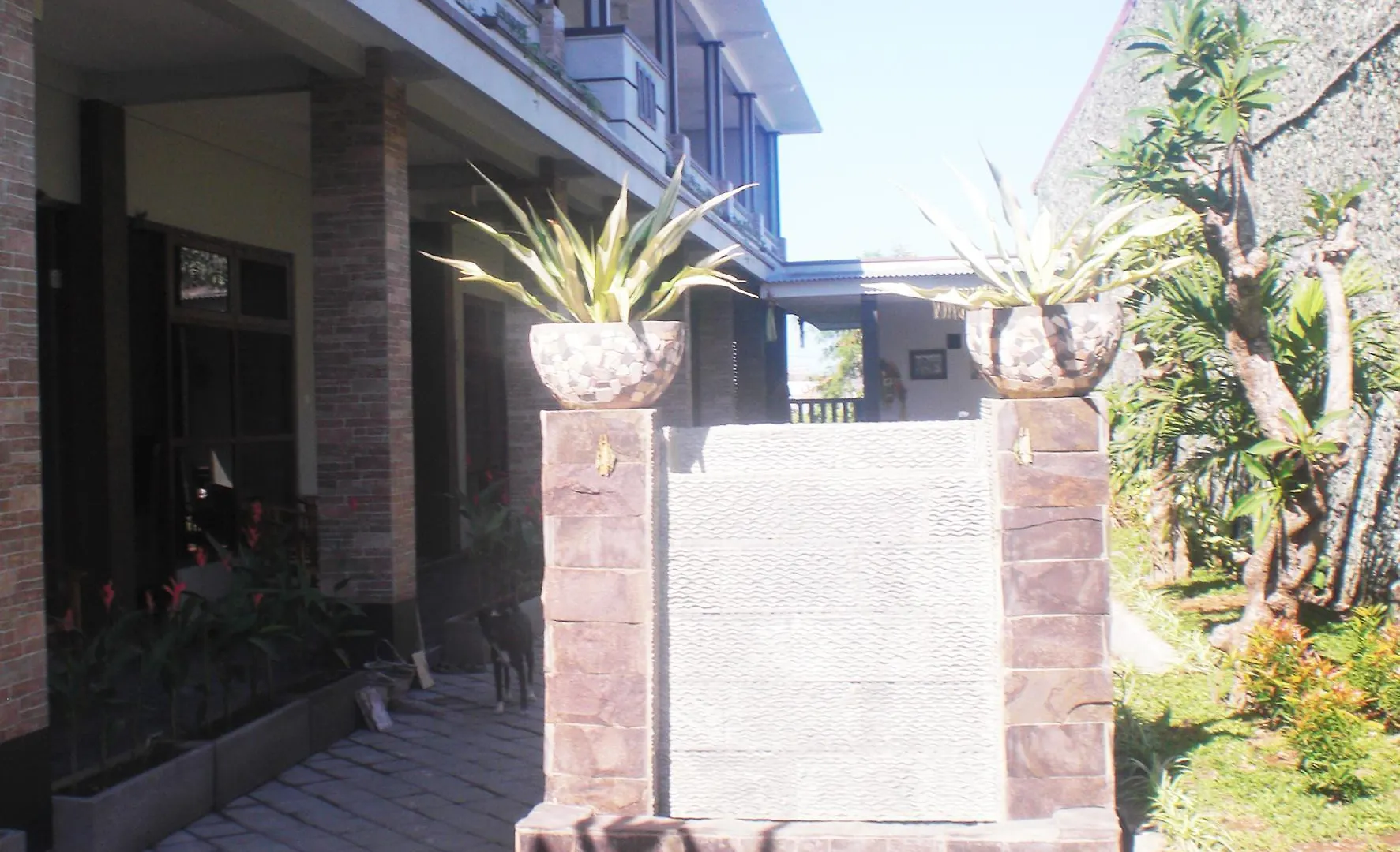 Gm Bali Guest House Kuta  Indonesia